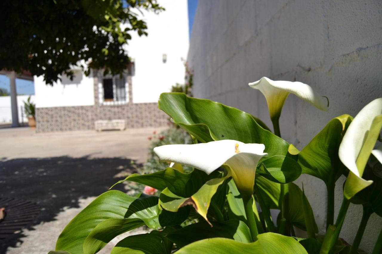 Вилла La Orquidea De Кордова Экстерьер фото